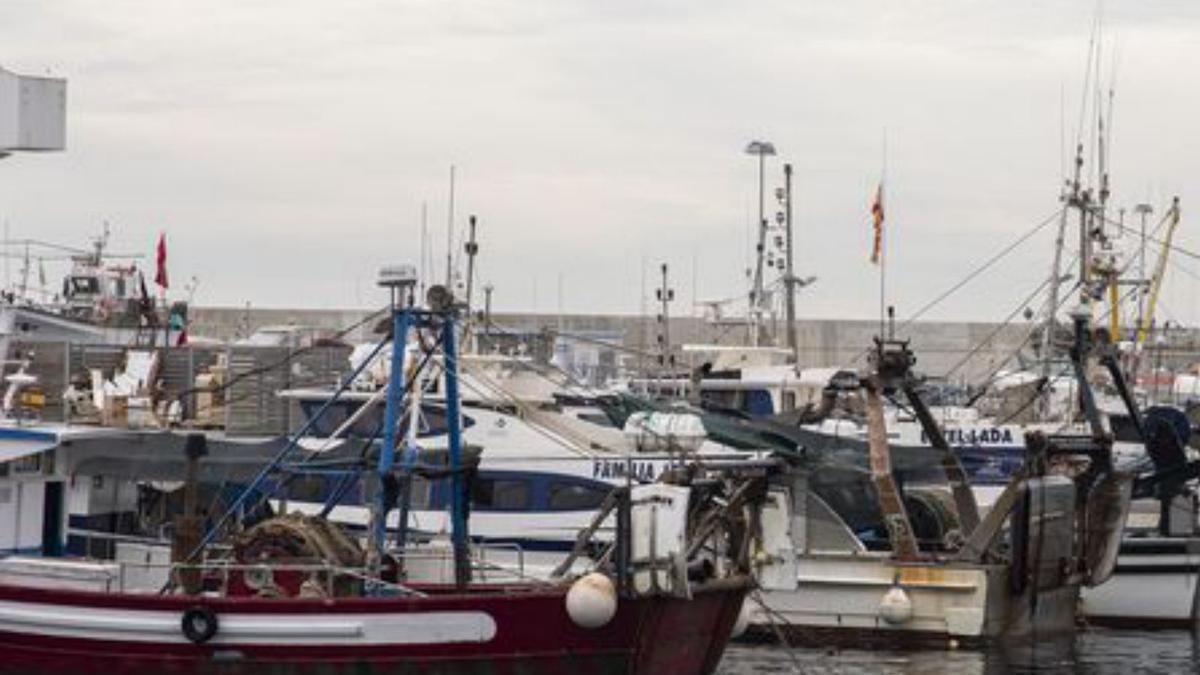 Barques de pesca al port de Blanes | DAVID APARICIO