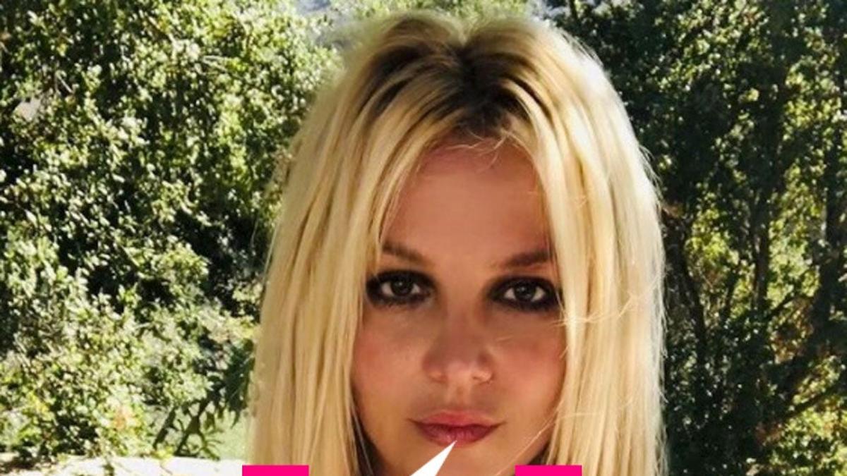 La madre de Britney Spears fue la culpable de su tutela