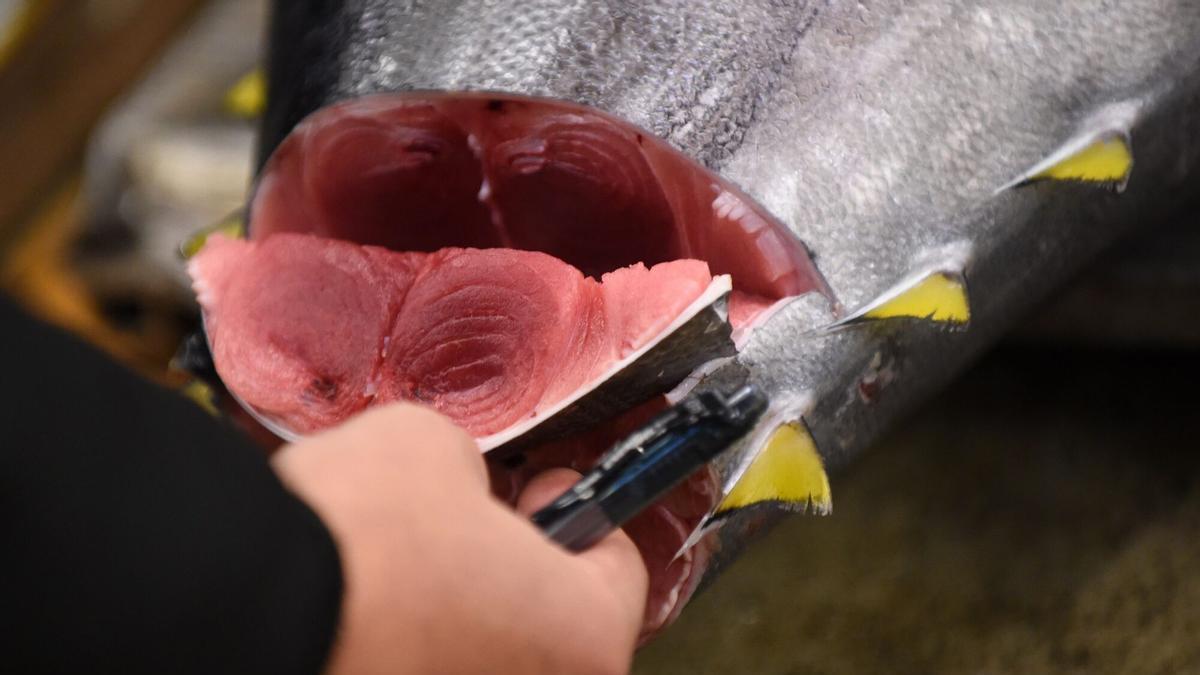 Corte de pescado.