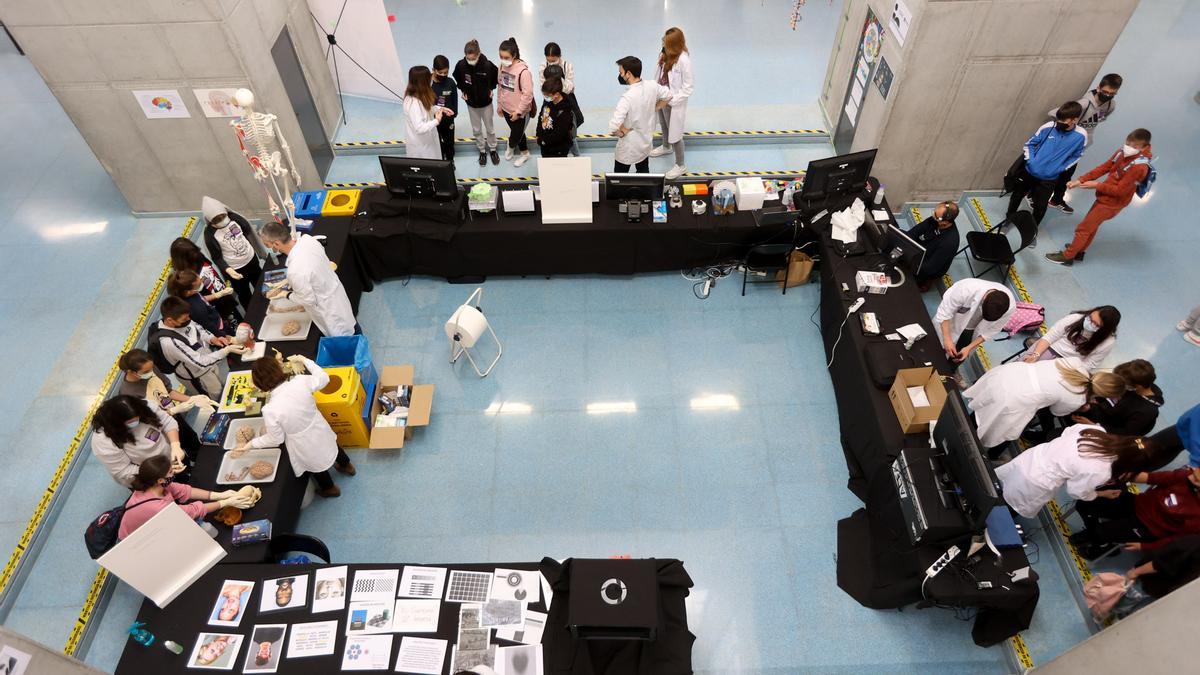 Semana del cerebro en la Facultad de Medicina de la UMH