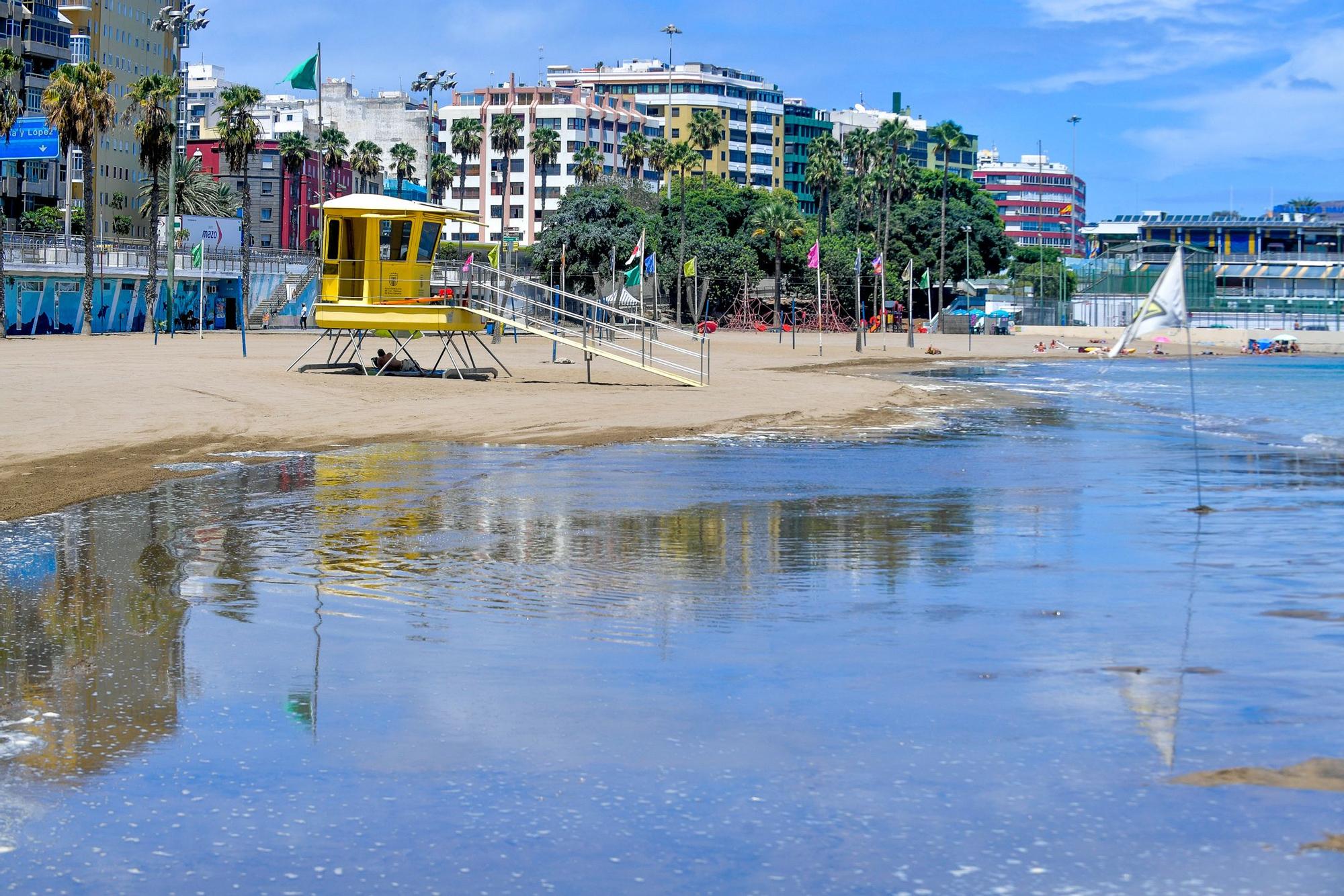 Mareas del Pino en las Alcaravaneras