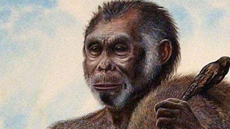 Retrato del &#039;Homo floresiensis&#039;, apodado el &#039;hobbit&#039;.