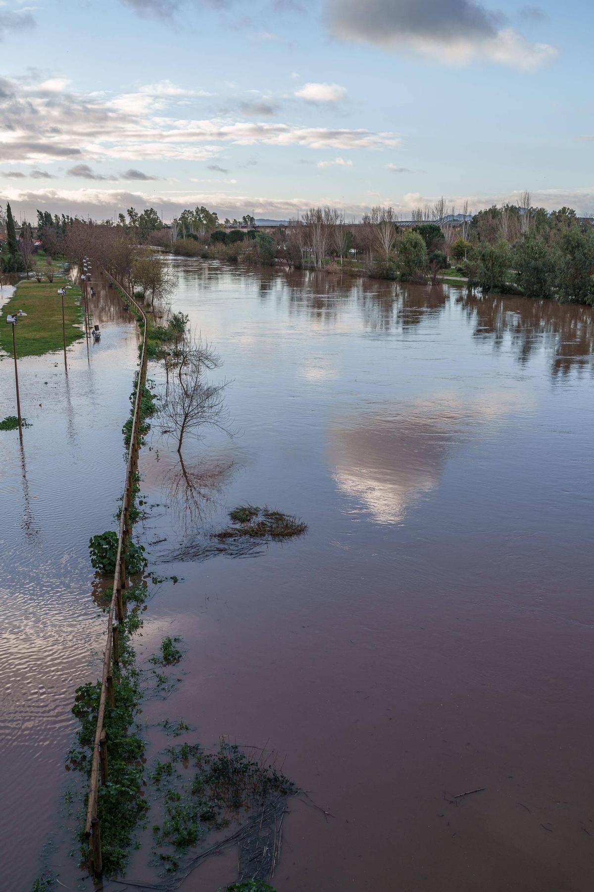 Fotogalería | Así se encuentra este viernes la isla de Mérida tras la subida que ha experimentado el caudal del Guadiana