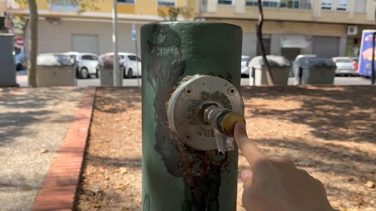 El PSOE de Elche denuncia el mal estado de algunos parques