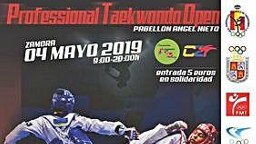 Cartel promocional del Professional Open Taekwondo.