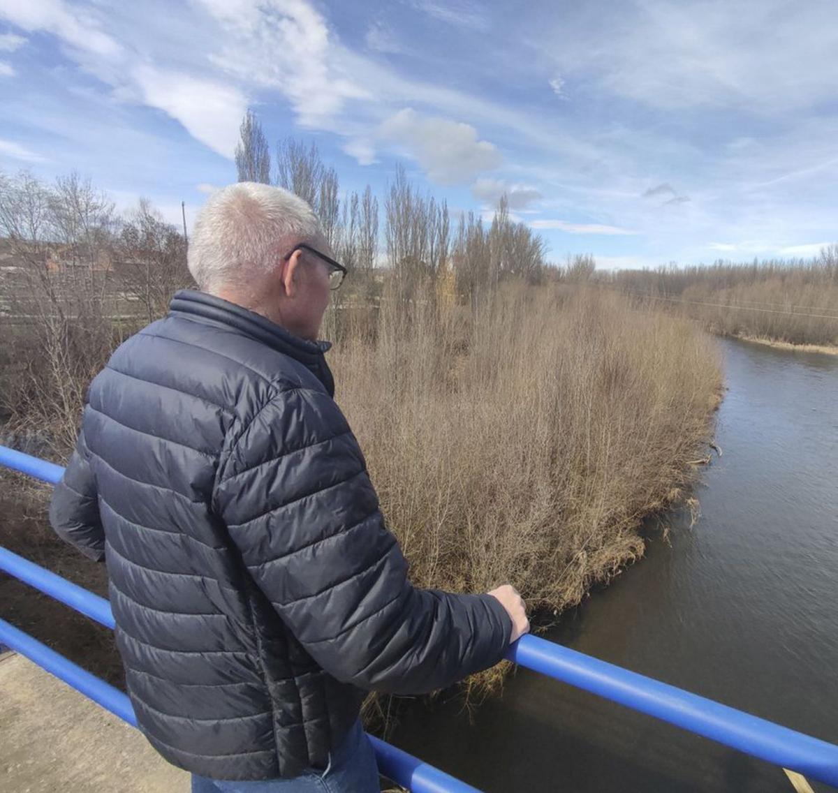 Salvador Domínguez observa el río Órbigo y el islote central que se ha formado en el centro del cauce y que ha pedido limpiar. | J. A. G.