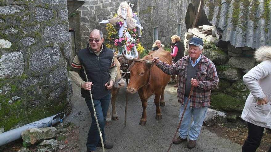 Santo Entroido y Santa Entroida a lomos de la vacas &quot;Pinta&quot; y &quot;Gallarda&quot; por las rúas de Covelo. // I.Osorio