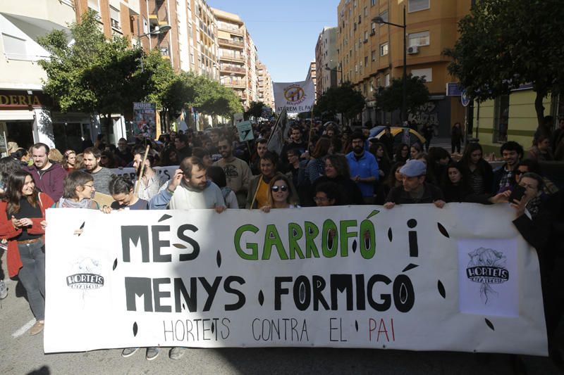 Manifestación contra el PAI de Benimaclet