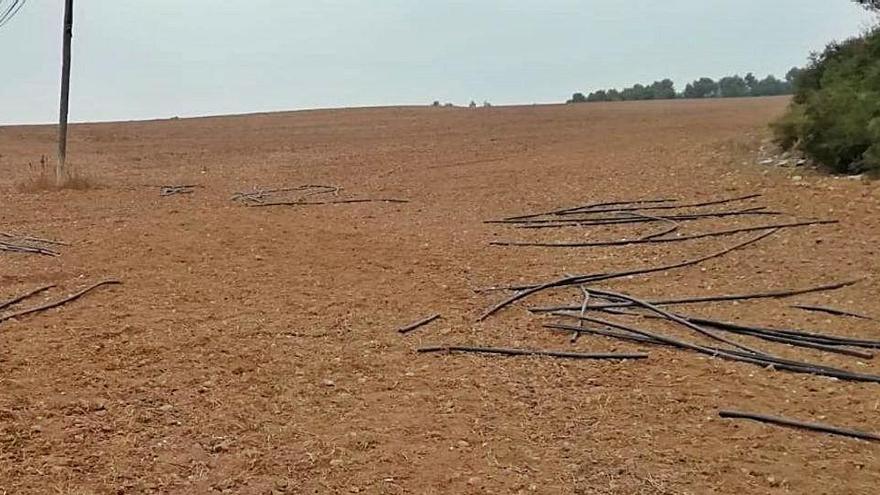 Els tubs, buits i deixats a terra, del tram de cable que van robar