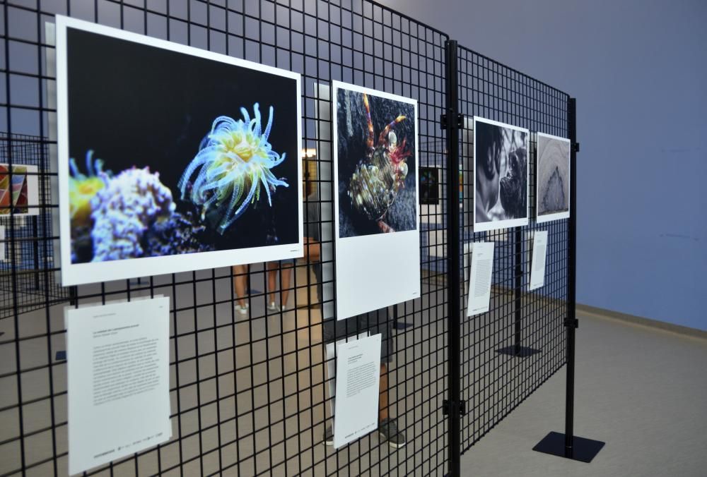 Fotociencia en el Muncyt