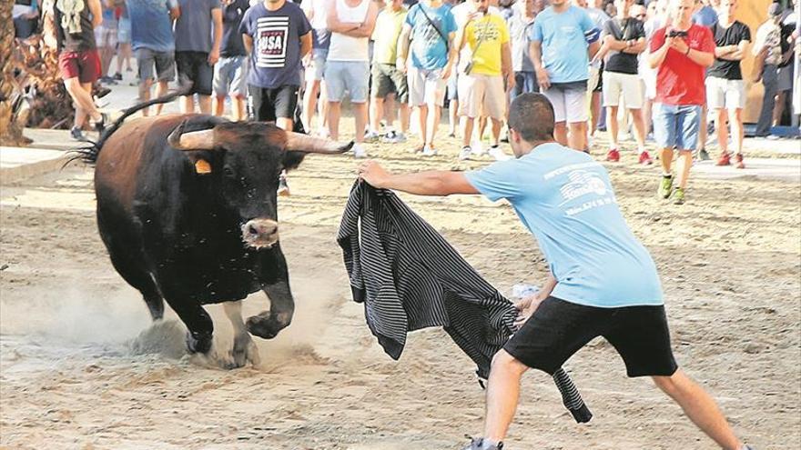 El PSPV compromete a sus socios al llevar el tema del ‘bou’ al pleno