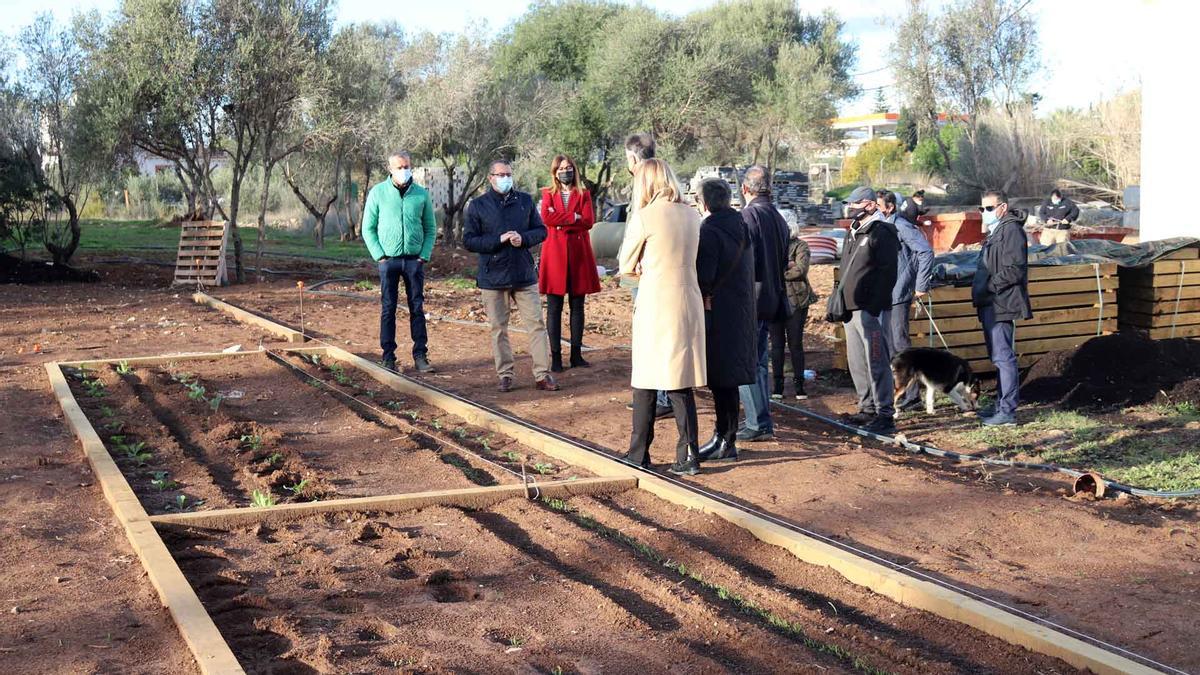 Los nuevos huertos se ubican en una parcela municipal de 8.500 metros cuadrados.