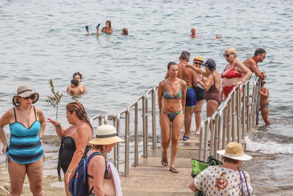 Baño para todos en Torrevieja