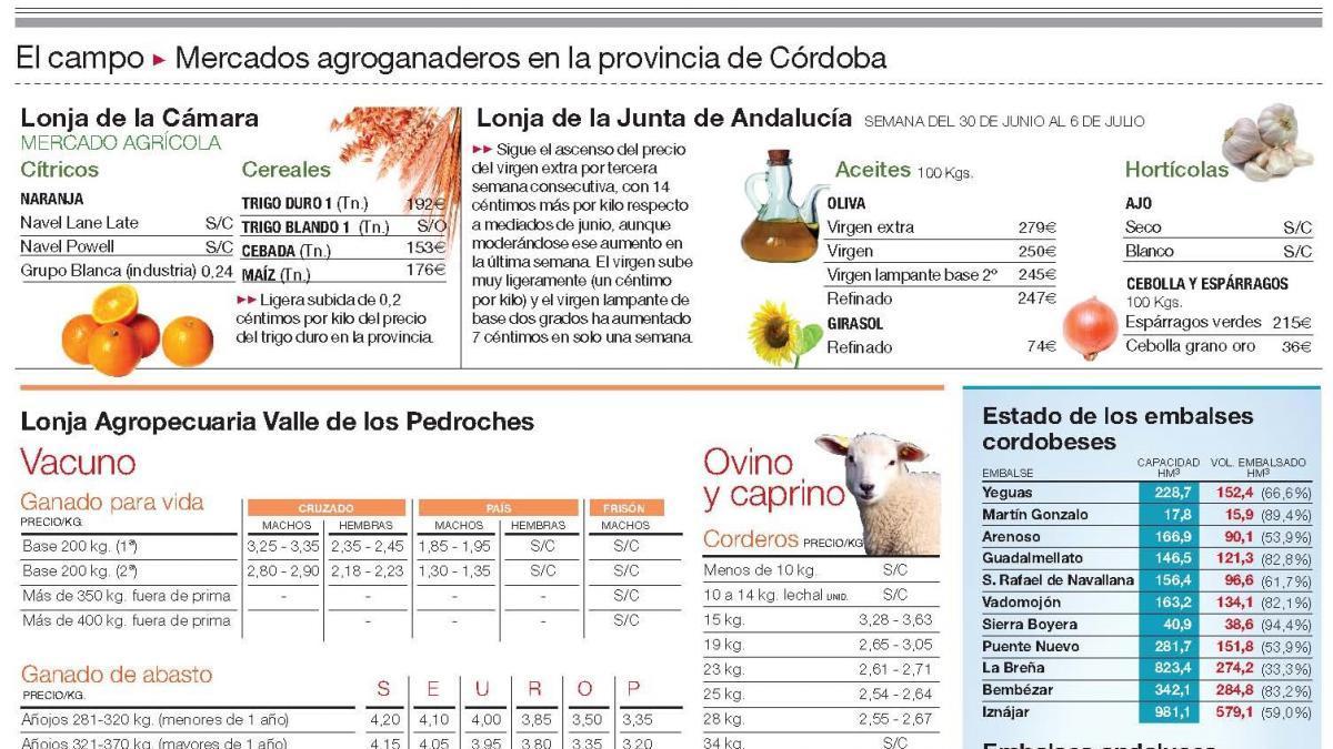 Culmina la recolección del ajo y empieza la del melón