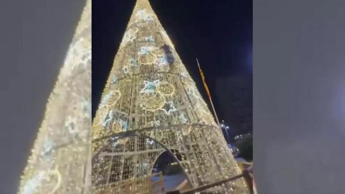 Una imatge del noi al mig de l'arbre de Nadal.