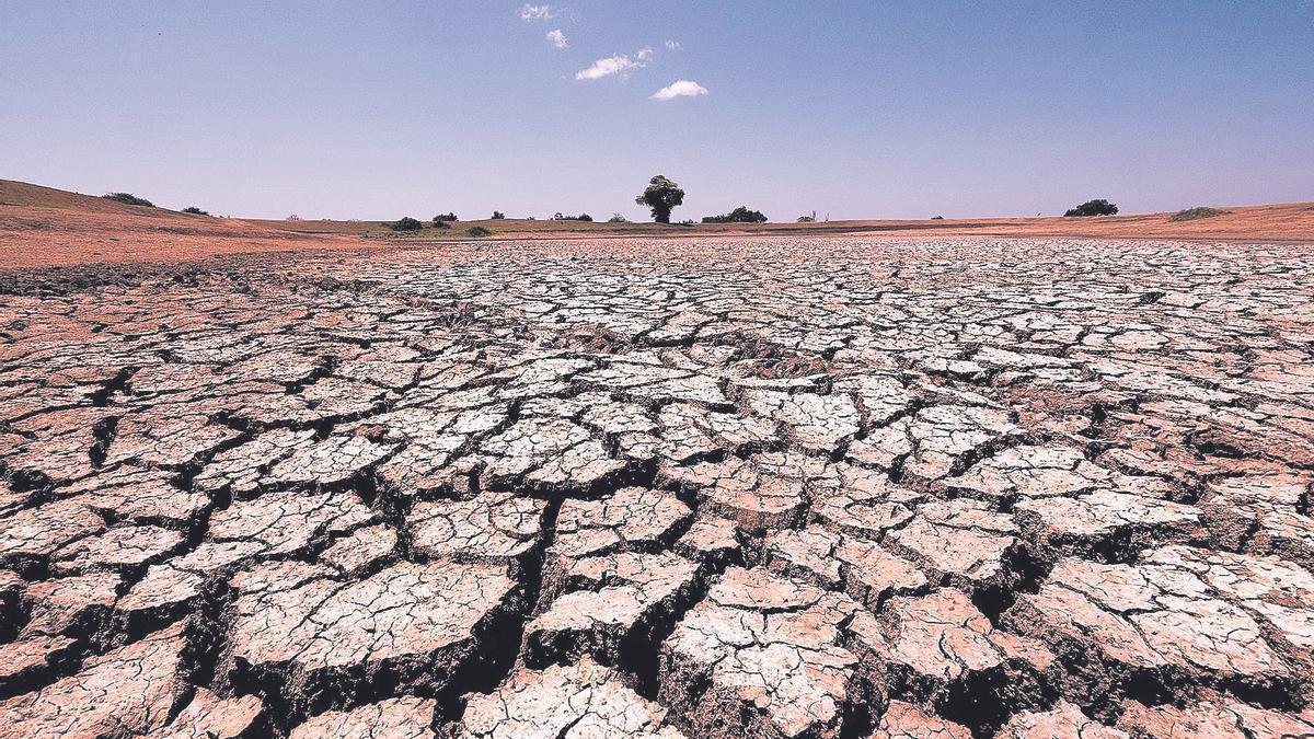 Les sequeres extremes afecten ara un 29% més de superfície terrestre que fa 50 anys