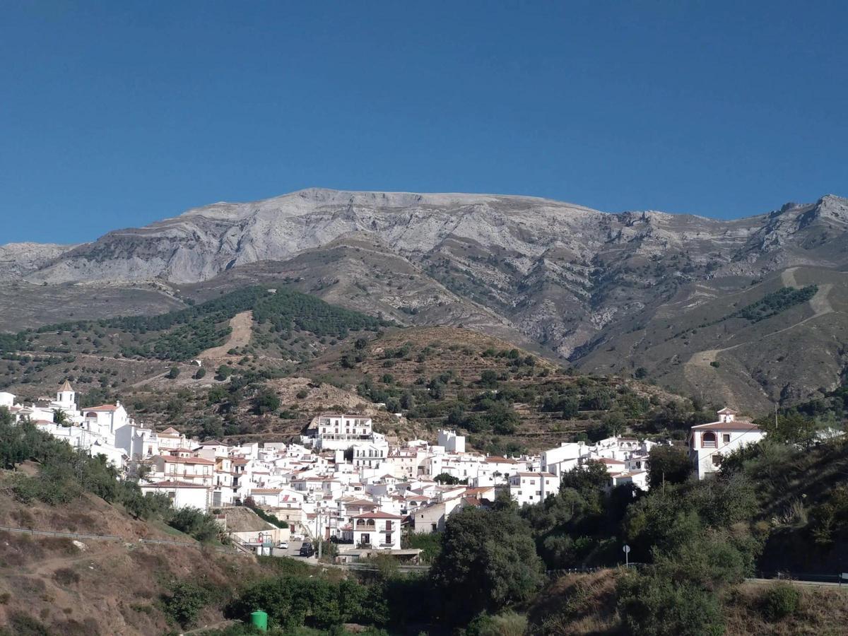 Sedella