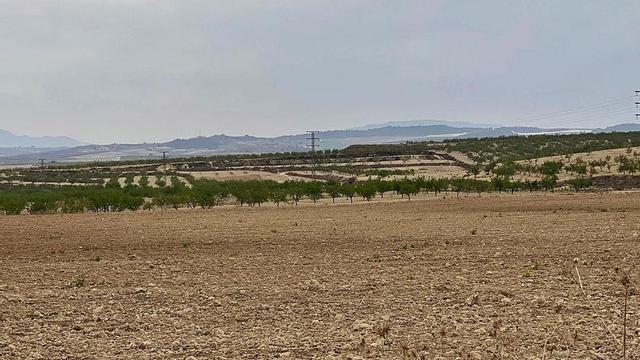 Terrenos agrícolas entre Mula y Fuente Librila, donde está proyectado una instalación para energía renovable. | MICAELA FERNÁNDEZ