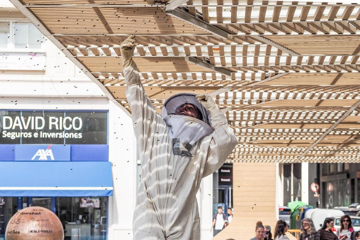 Retiran un enjambre de abejas en la plaza del Zapatero de Elda