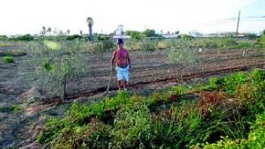 Los usuarios de los huertos piden garantías para seguir utilizándolos