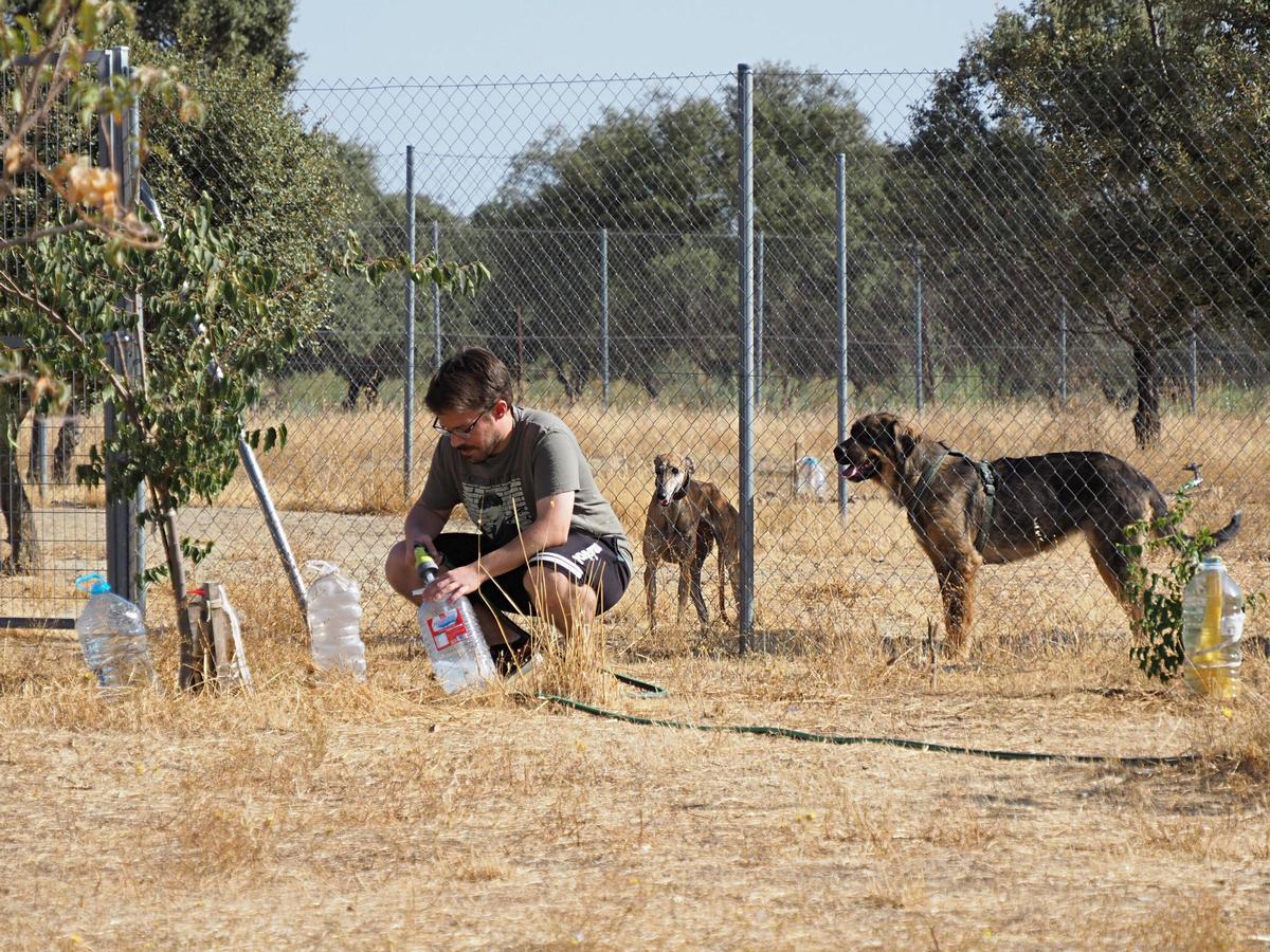 Un integrante de la Asociación proporciona agua a los animales en las instalaciones de la protectora.