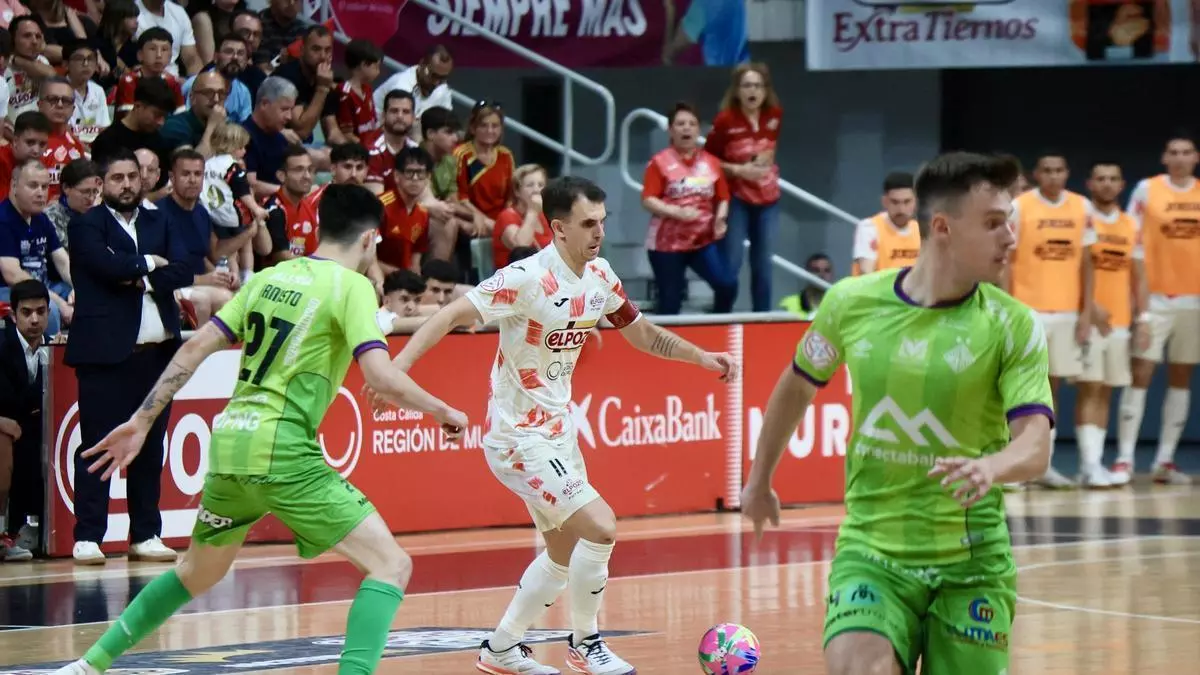 En directo: ElPozo Murcia-Palma