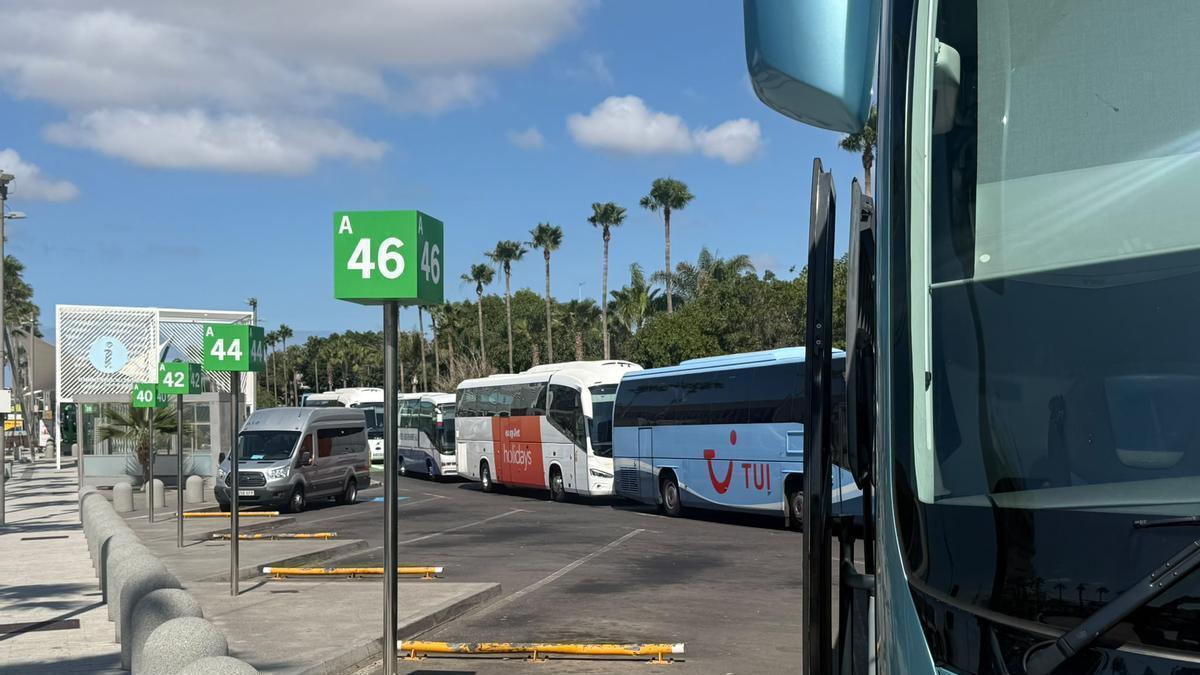 Colas entre el transporte de viajeros a la salida del aeropuerto Tenerife Sur, este sábado