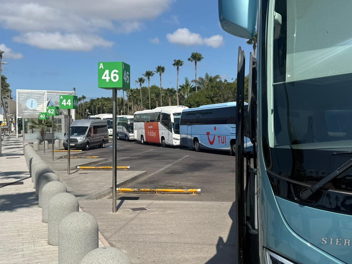 Colas de guaguas en Tenerife Sur.