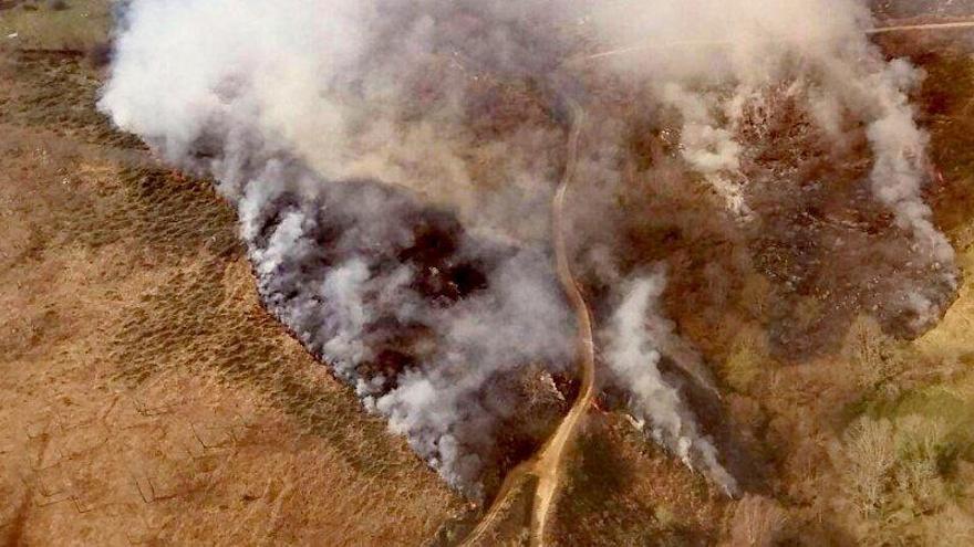 Uno de los incendios de los últimos días, concretamente en Vigaña, Belmonte de Miranda.