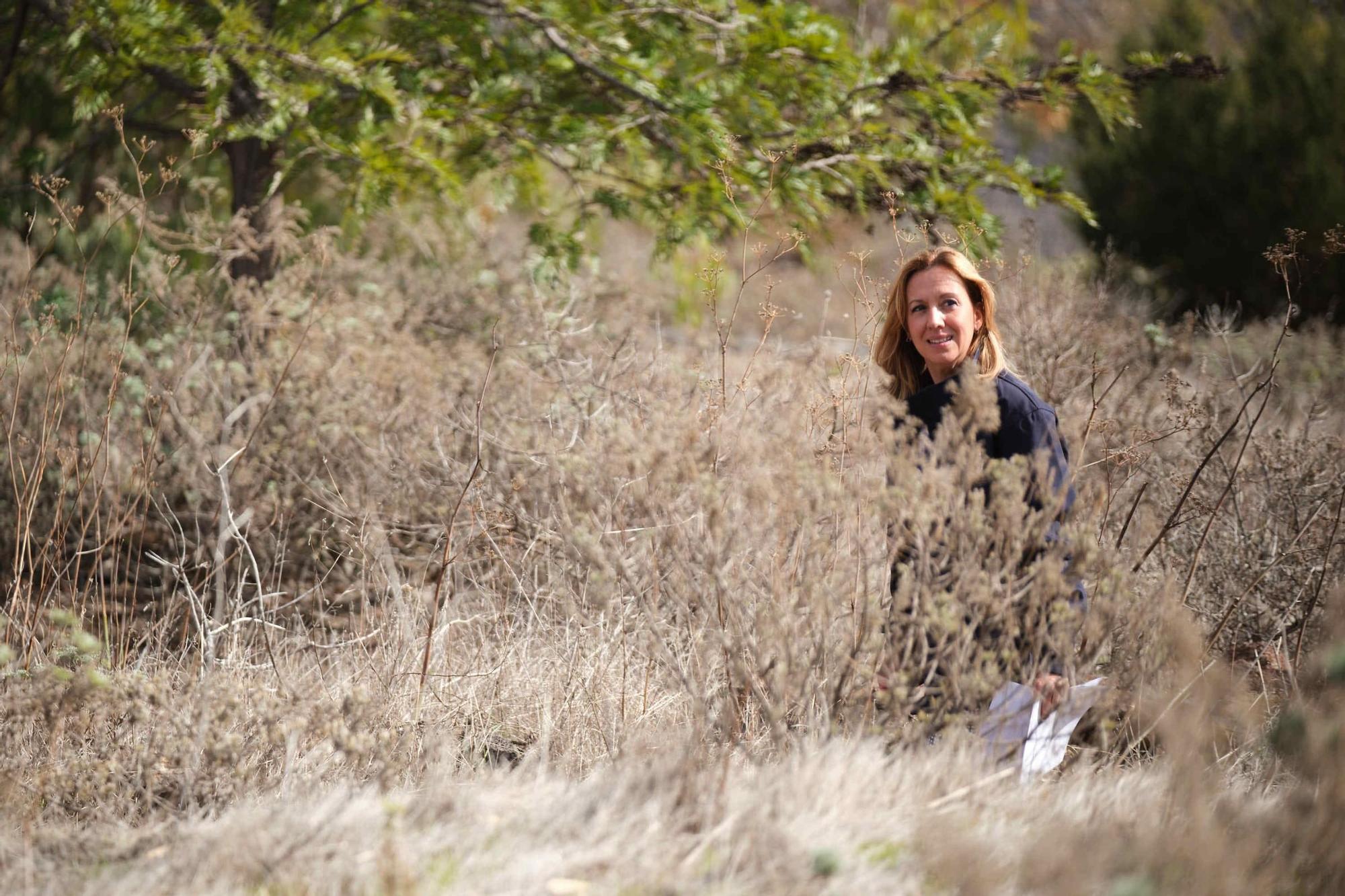 Recuperación ambiental en el Parque de Las Mesas