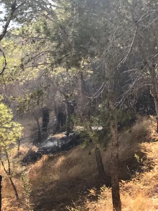 Pequeño incendio forestal en la Serra Grossa