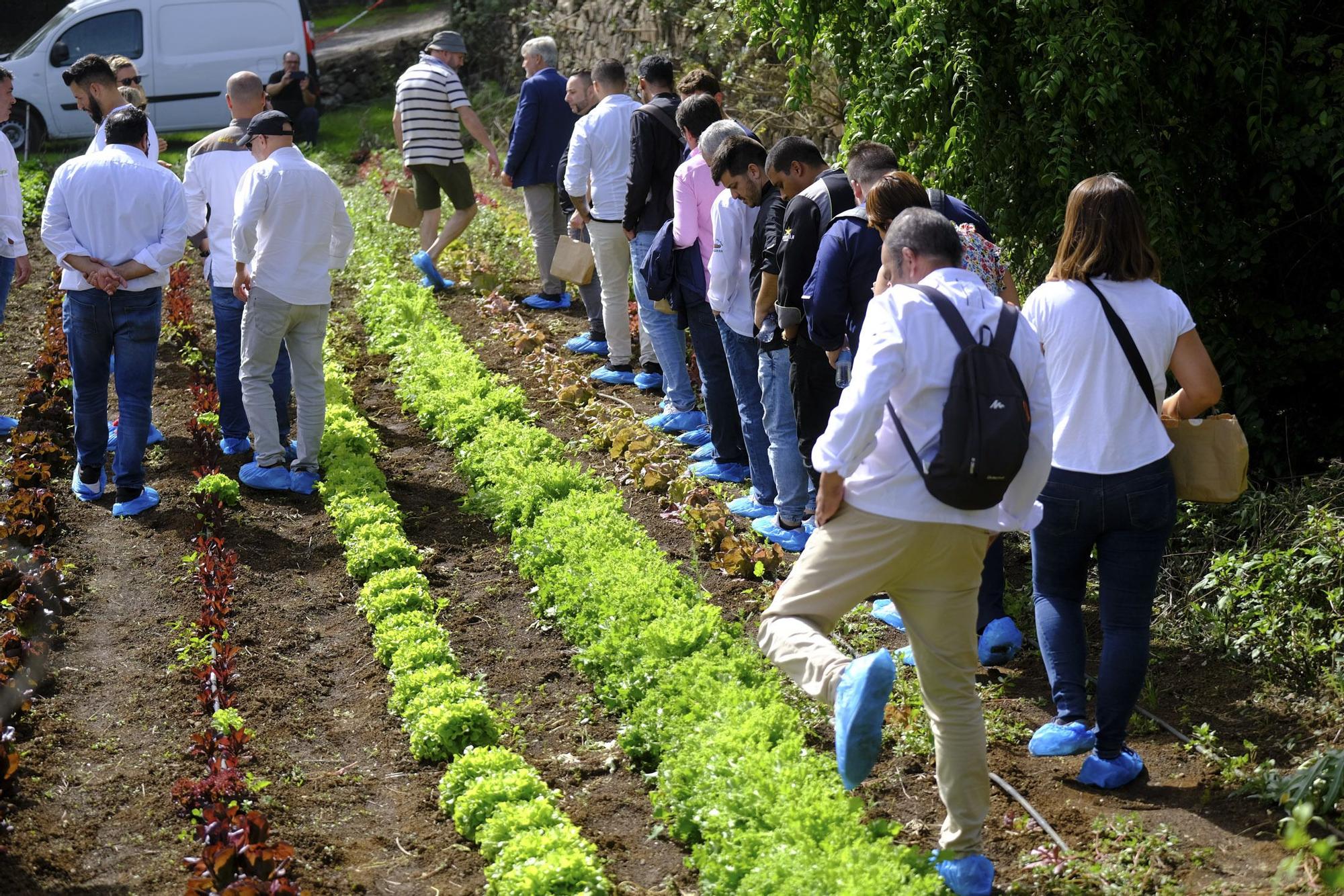 Visita a Ecohuerta Canaria