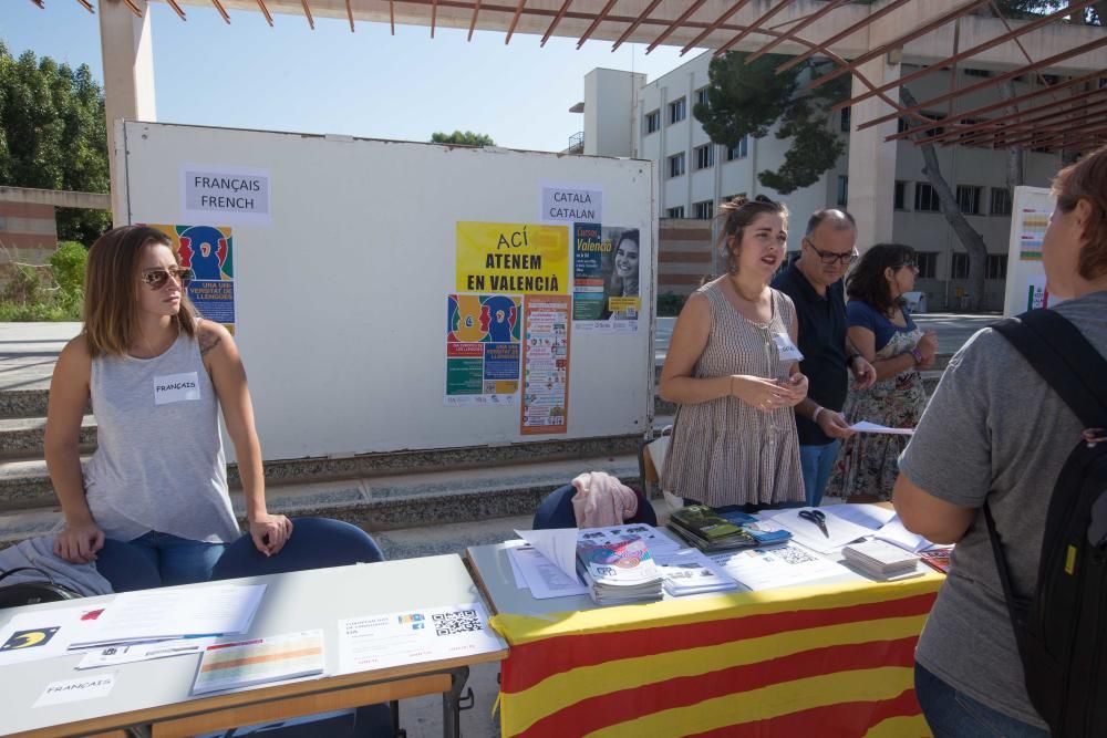 12 campanadas o comida vegana en foodtrucks para dar la Bienvenida a la UA