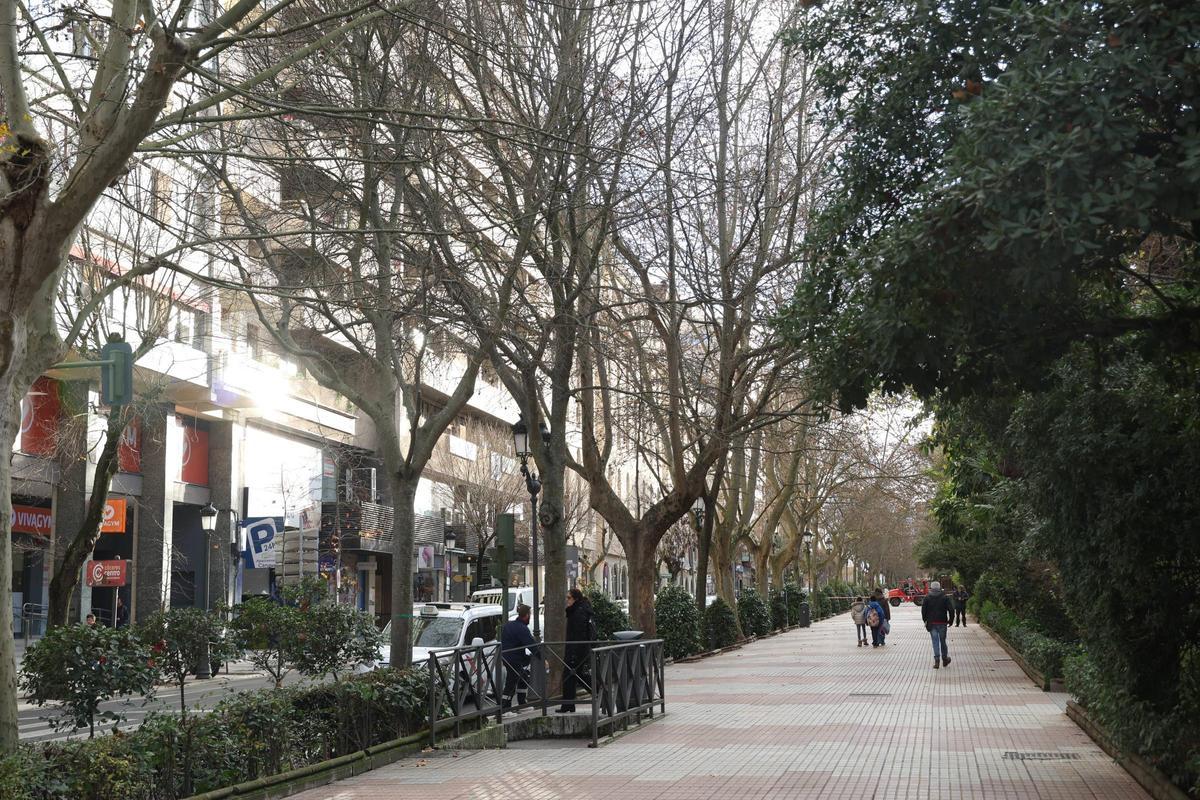 FOTOGALERÍA | La esperada reforma del Paseo de Cánovas de Cáceres, más cerca