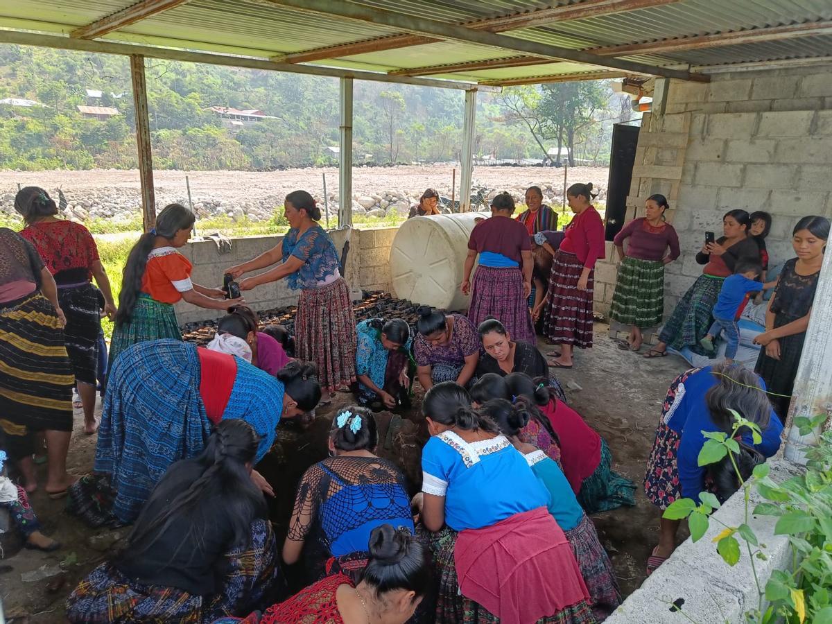 Mujeres de Zona Reina replantantando árboles con vestimentas típicas.