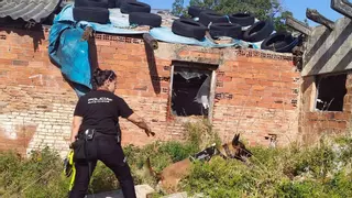 La Policía Nacional incorpora más medios a la búsqueda de la mujer desaparecida en Palencia