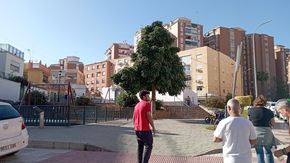 El parque infantil de un solo árbol, en calle Sucre, en Victoria Eugenia.
