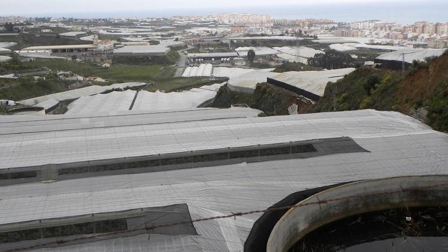 Una vista panorámica del litoral torroxeño, donde se concentra un mayor número de invernaderos.