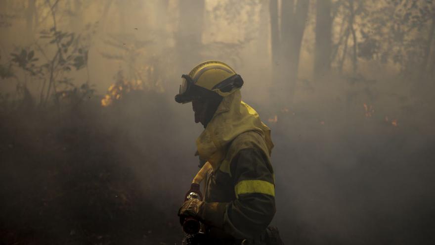La lacra de los incendios: solo logra detenerse al 8% de quienes prenden fuego al monte