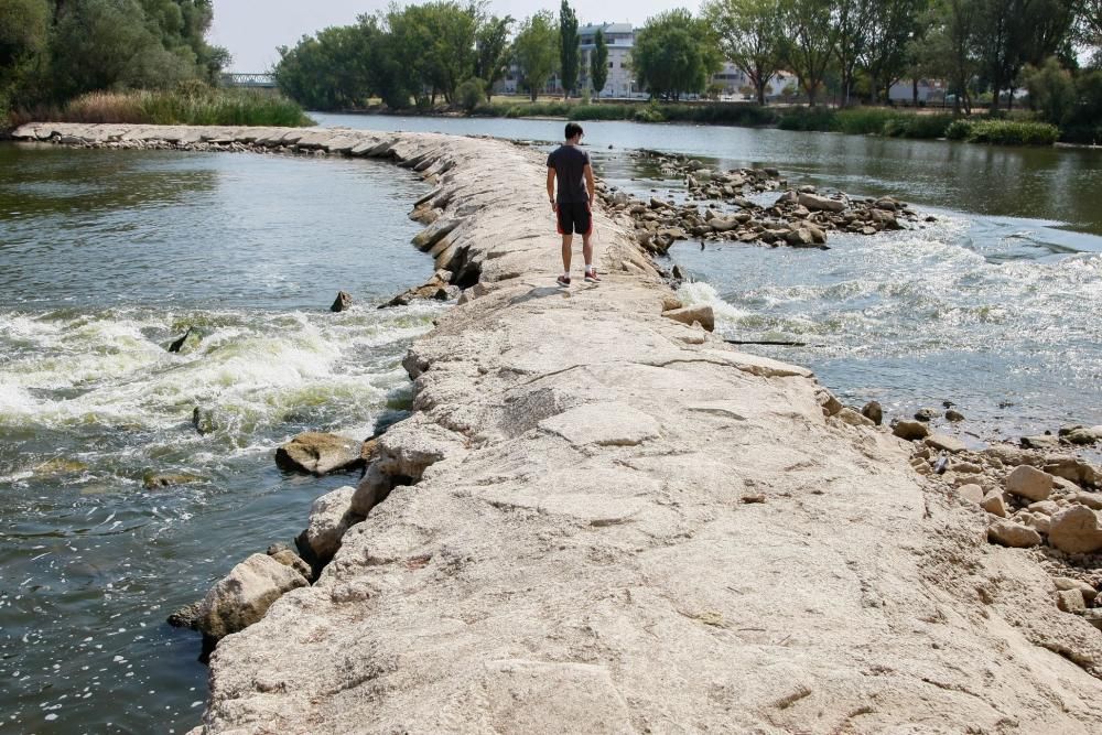 Sequía en Zamora: El Duero, bajo mínimos