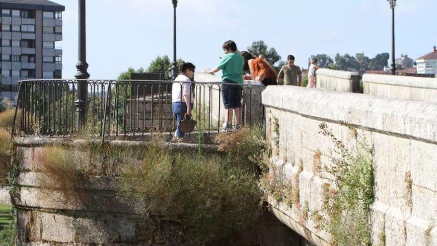 Uno de los arcos centrales de la Ponte Vella, con la estética deslucida por la maleza.