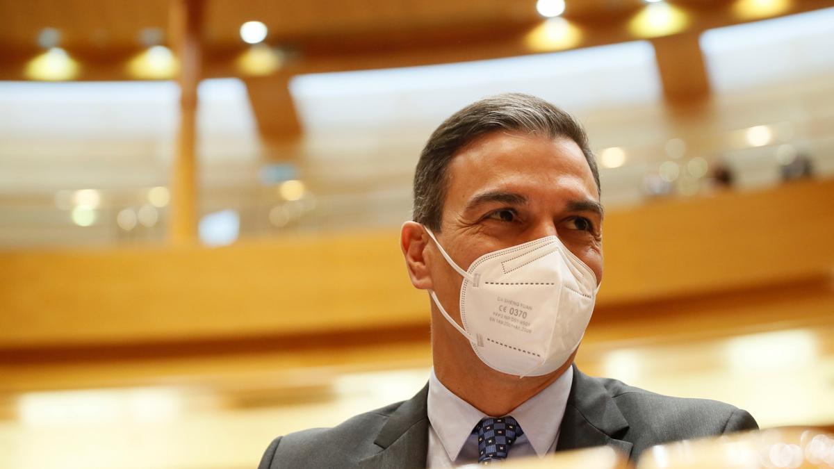 Pedro Sánchez, en el Senado.