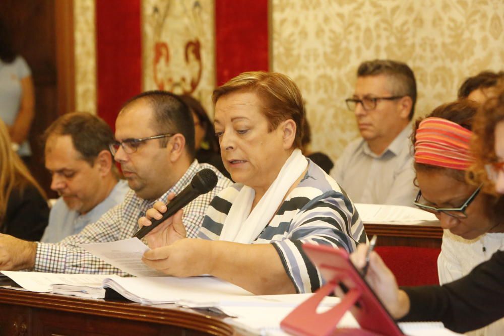 Pleno en el Ayuntamiento de Alicante