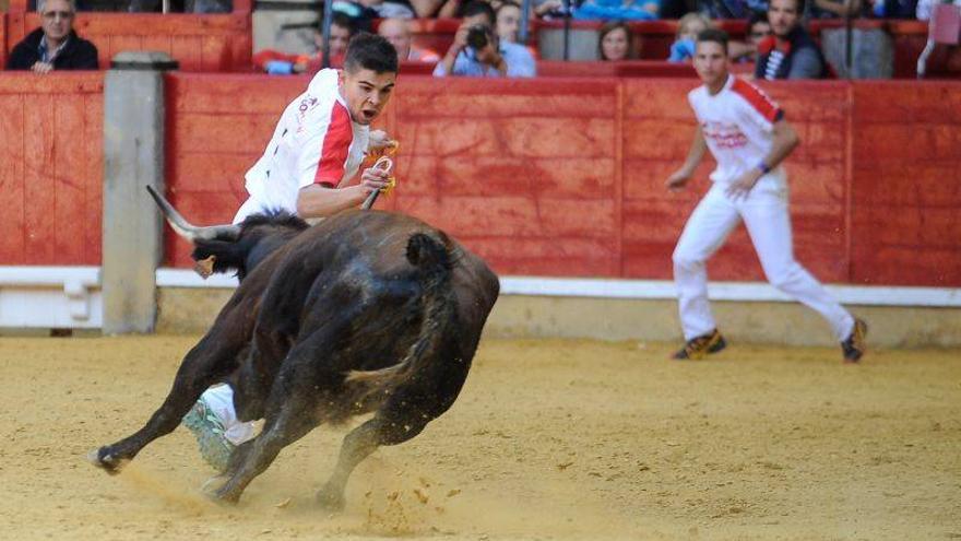 Lleno a reventar en los festejos populares