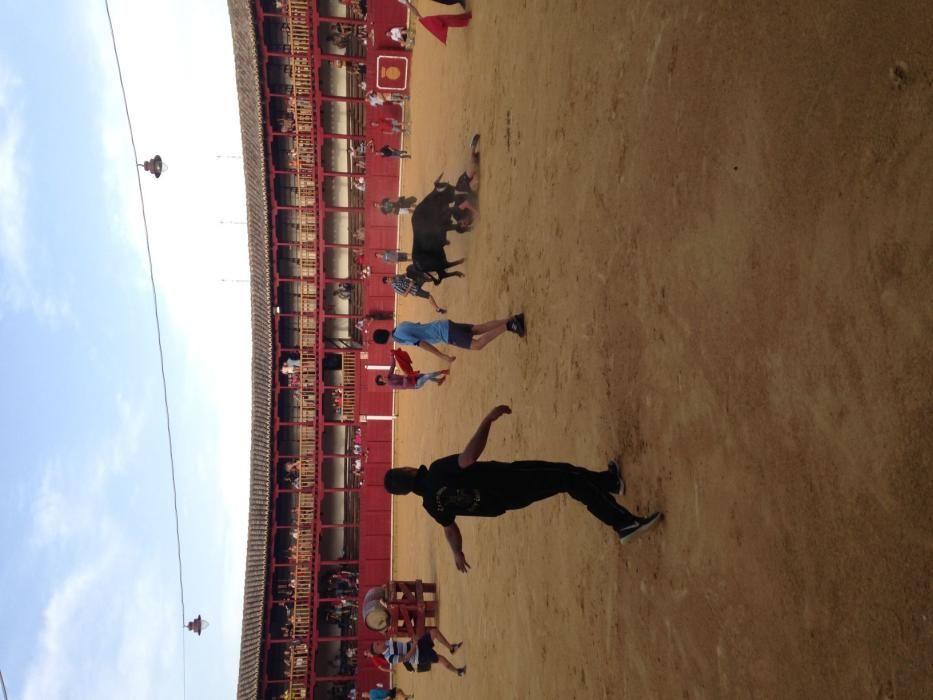 Fiestas Toro- concurso de jóvenes cortadores