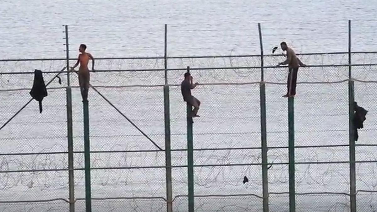 Migrantes subsaharianos durante un intento de salto a la valla de Melilla.