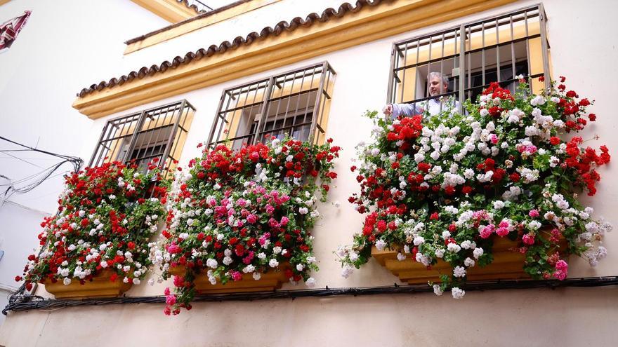 Las mejores Rejas y Balcones de 2026