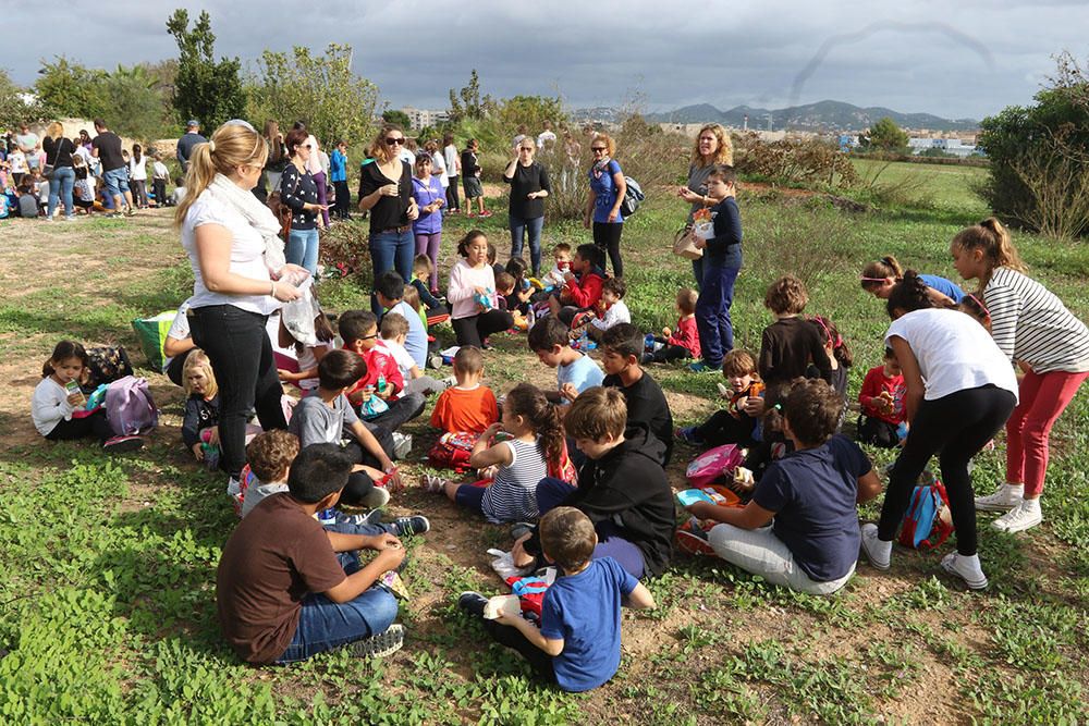 Alumnos de Can Cantó celebran una trencada en la Finca de Can Tomeu.