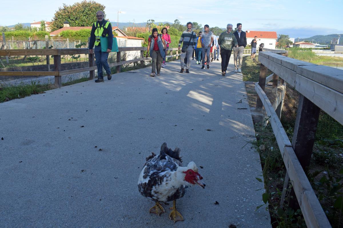 La regeneración de la zona permitió el asentamiento de fauna avícola.