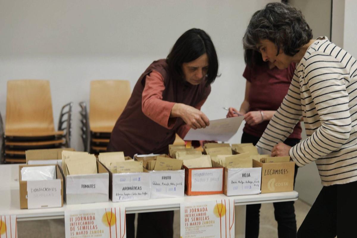 Zamora. Il Jornada de Intercambio de Semillas, organizado por el colectivo Zamora en Transición